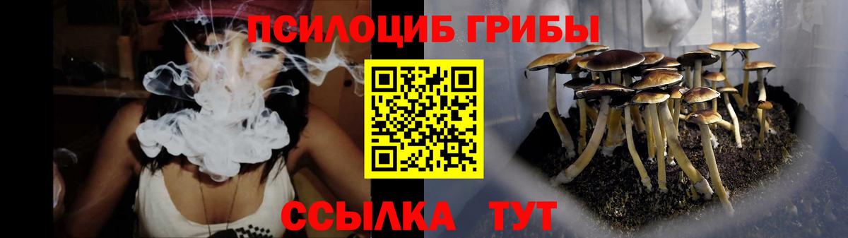 Борисоглебск  Галлюциногенные грибы GOLDEN TEACHER  Псилоцибиновые грибы GOLDEN TEACHER  Вход с VPN 
